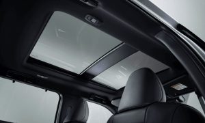 Galeria Seção 3 (1)