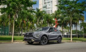 Galeria Seção 3 (3)