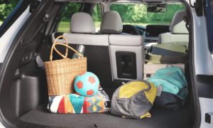 Galeria Seção 3 (4)